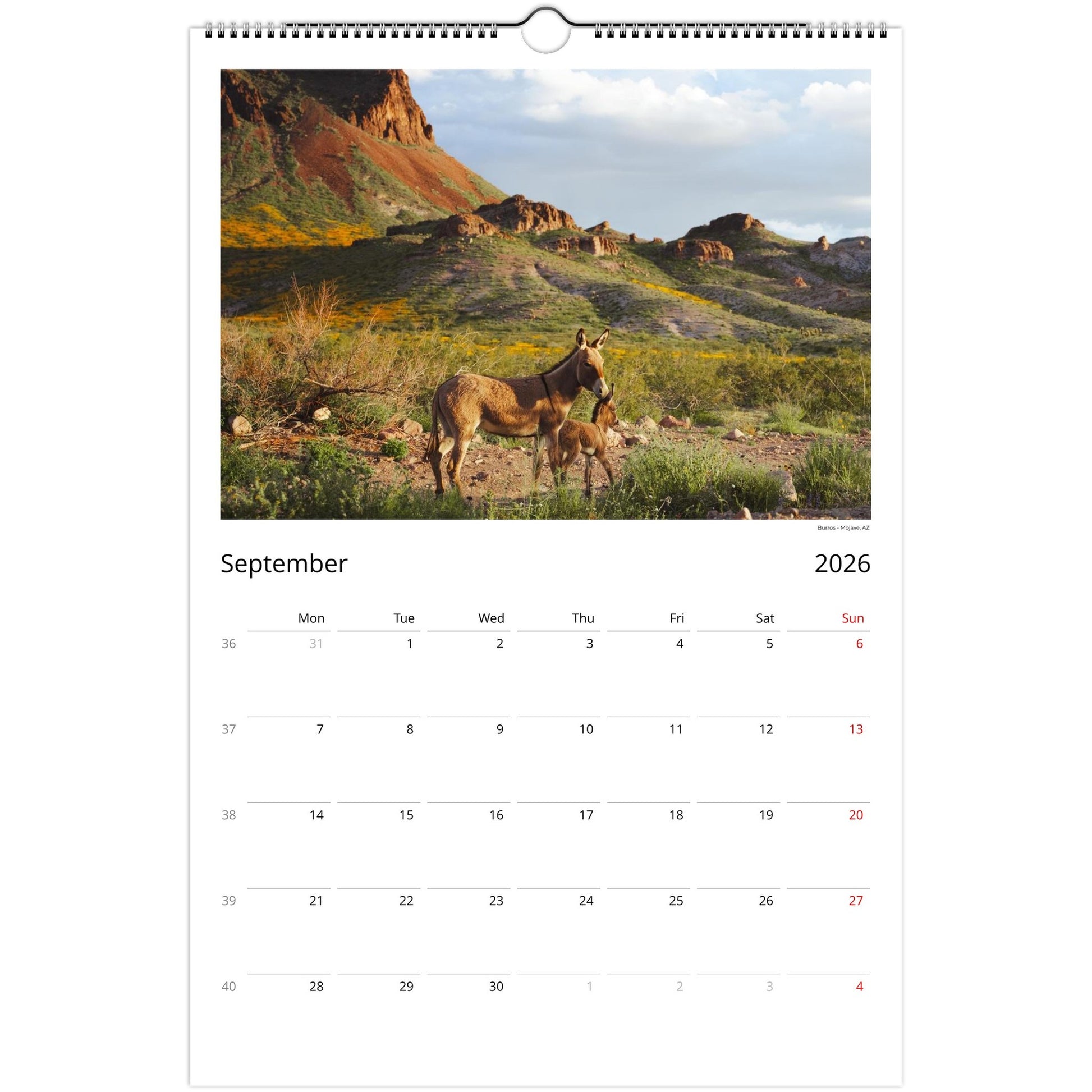 0c187fa2-d062-40c4-843d-cadc581c8ad4