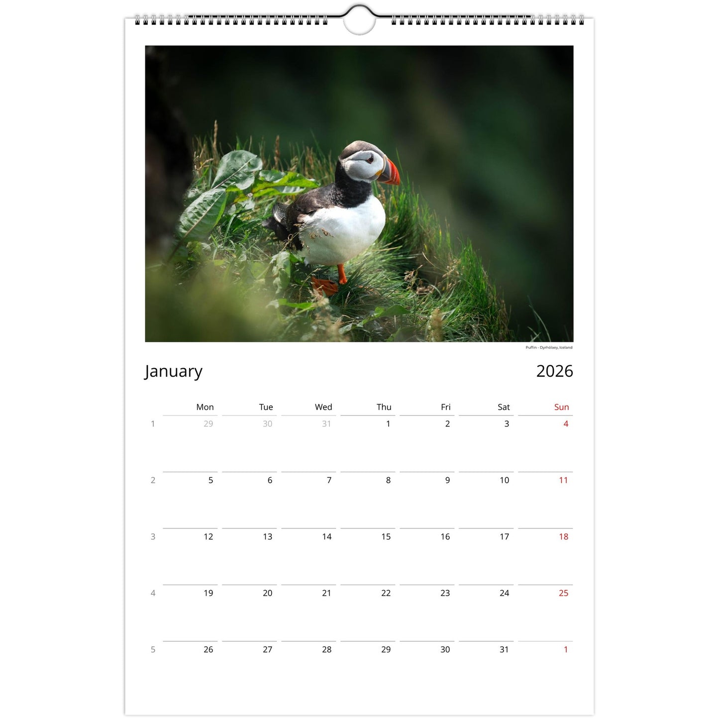 1371b7b4-36fd-416f-8410-3554773fbe55