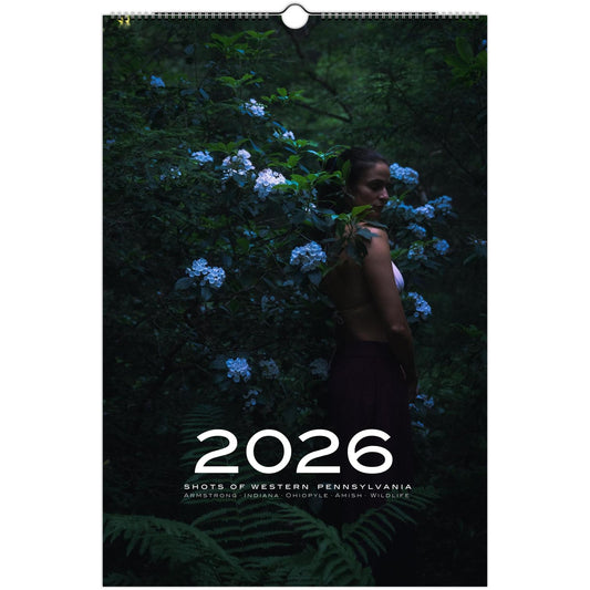 13e77b43-afcf-41a8-b936-9fe745ada839