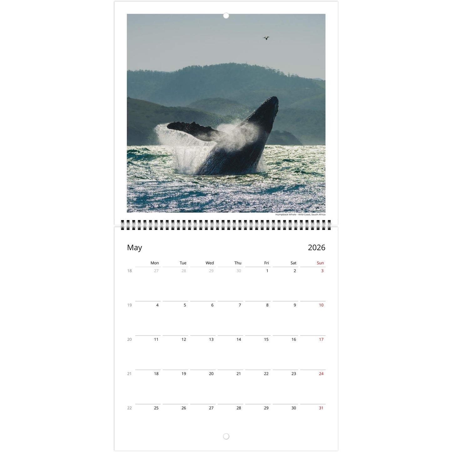 18f95ae8-98b5-480b-a175-8b17385482a1