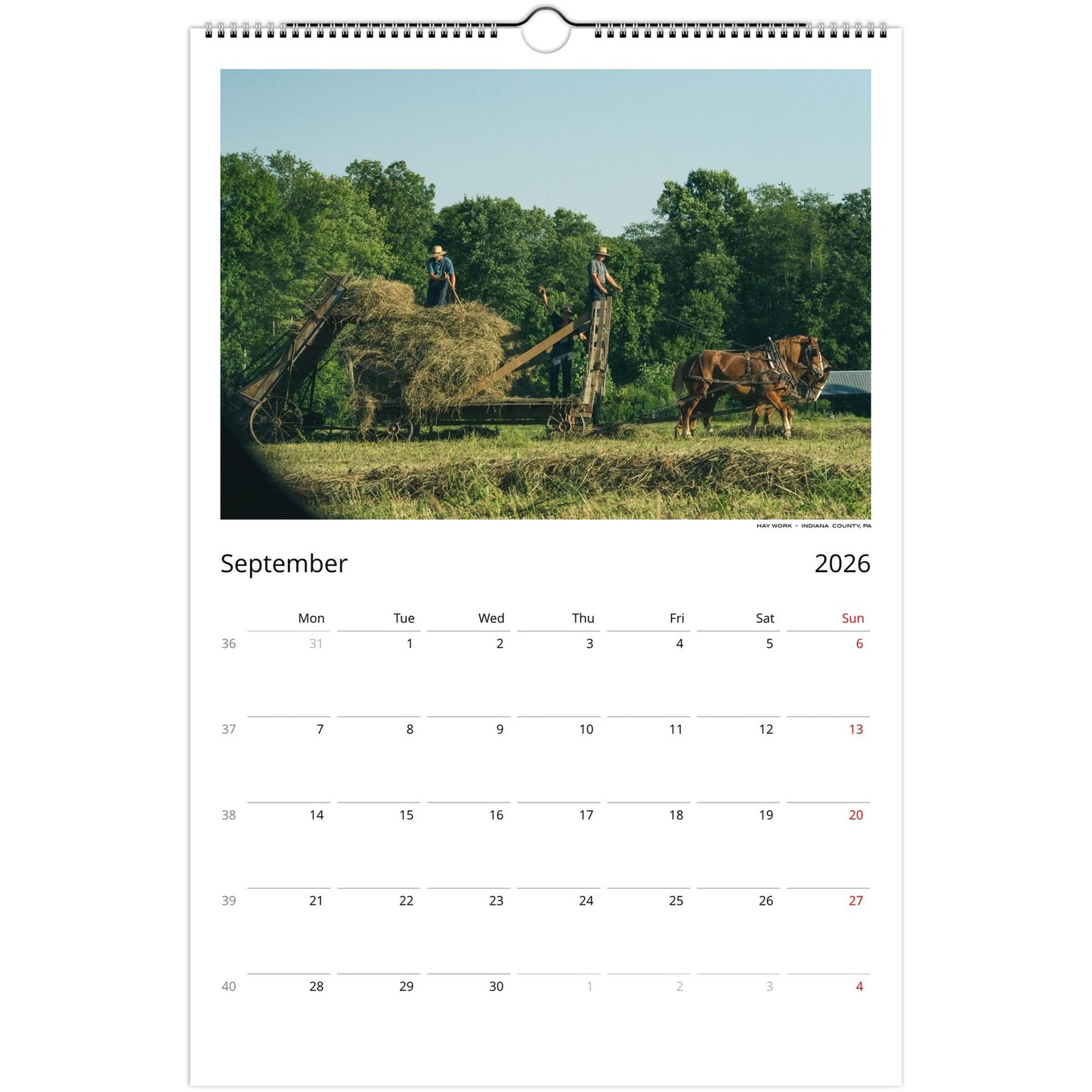 29b1843b-f3e8-4706-b46a-b9f1991b786f