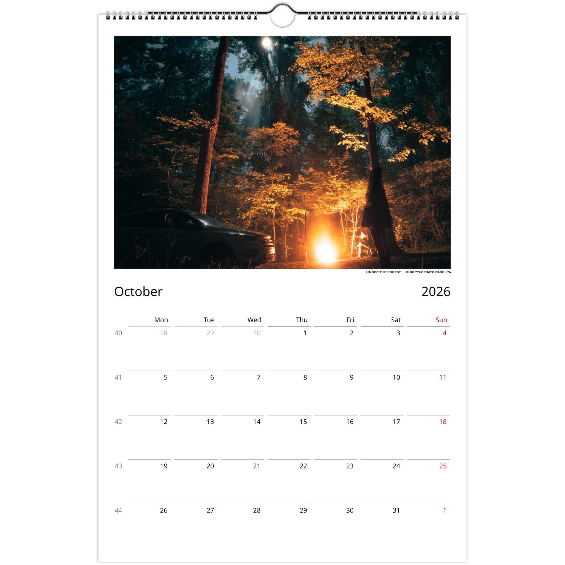 519c4453-d6d4-4702-bd3c-1b2b5b6bcc9b