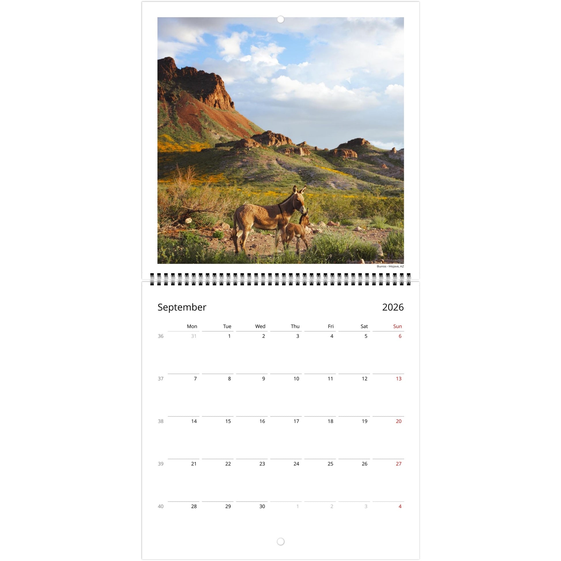 57b93ecf-8283-4f75-9cb2-0f0fb0ab542d