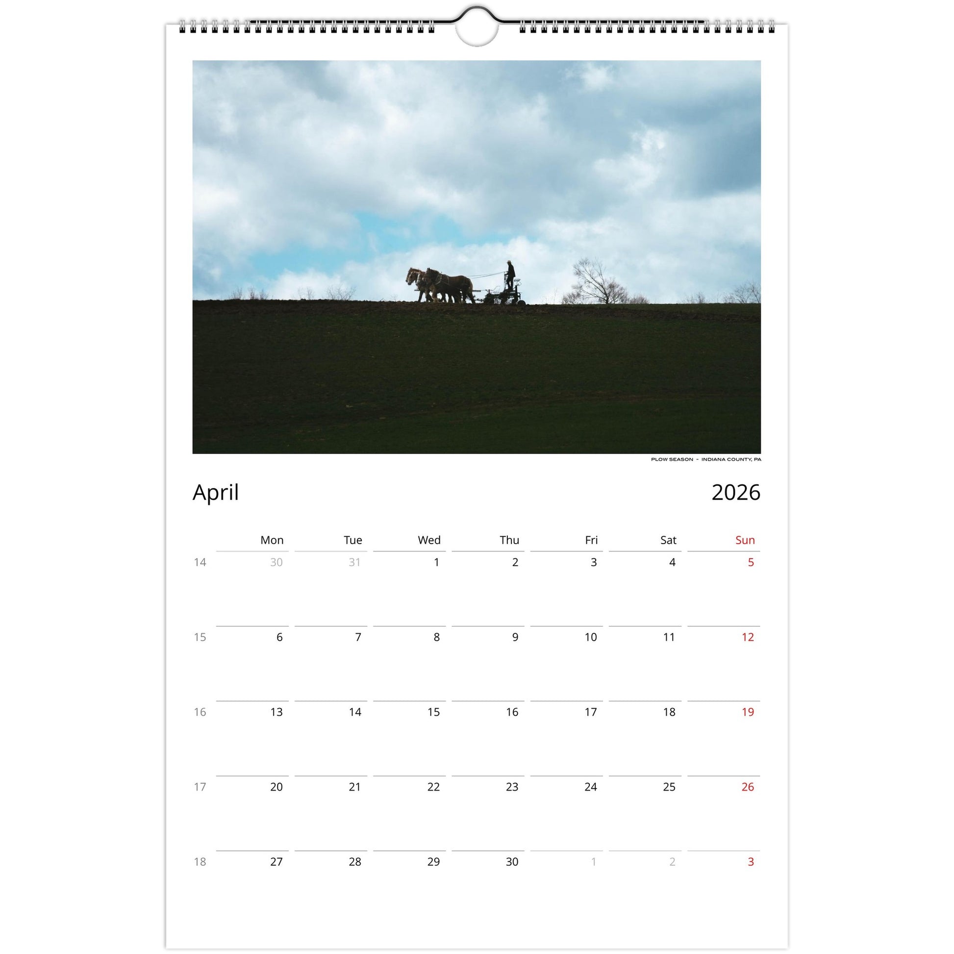 5947c06f-075d-4574-a64d-9df9779f0218