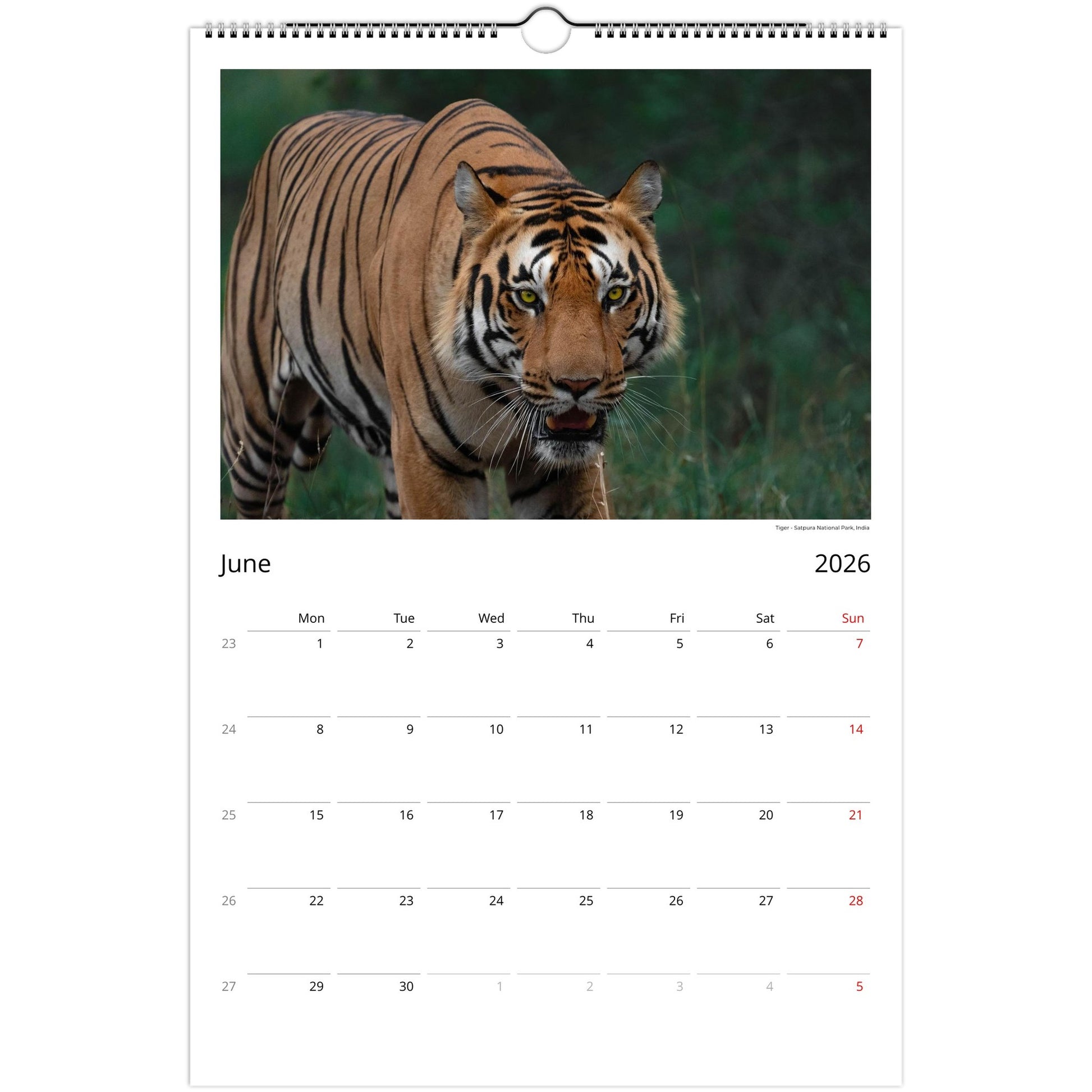 6459ef69-fb93-4942-b019-6c1ee9399854