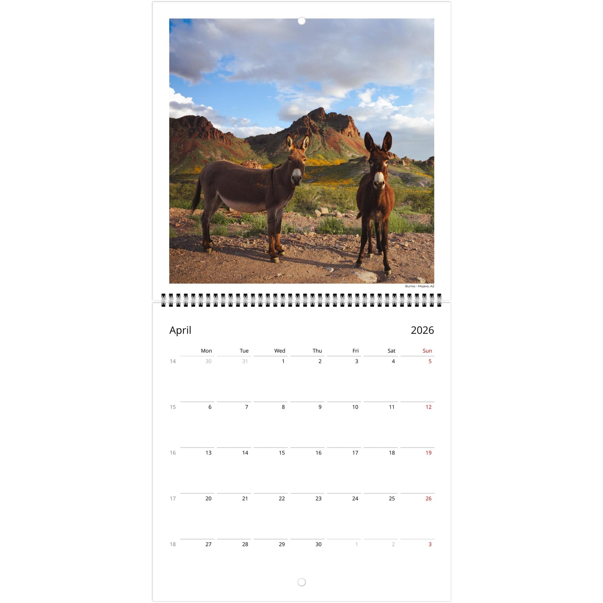 6d759c17-4fba-4157-ad41-44c2b4cebce5