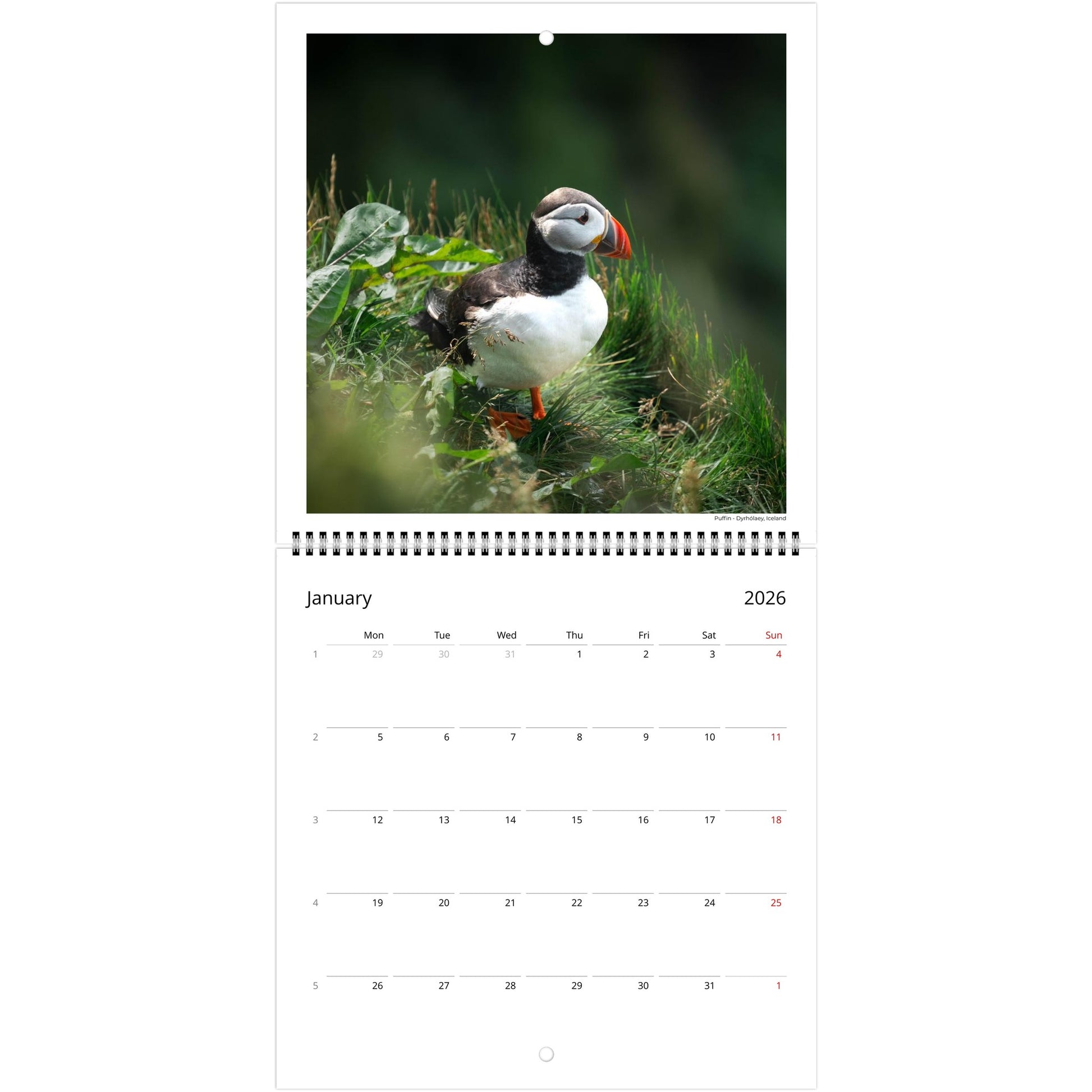 6e8b106d-97cb-4986-b65f-477af788ea59