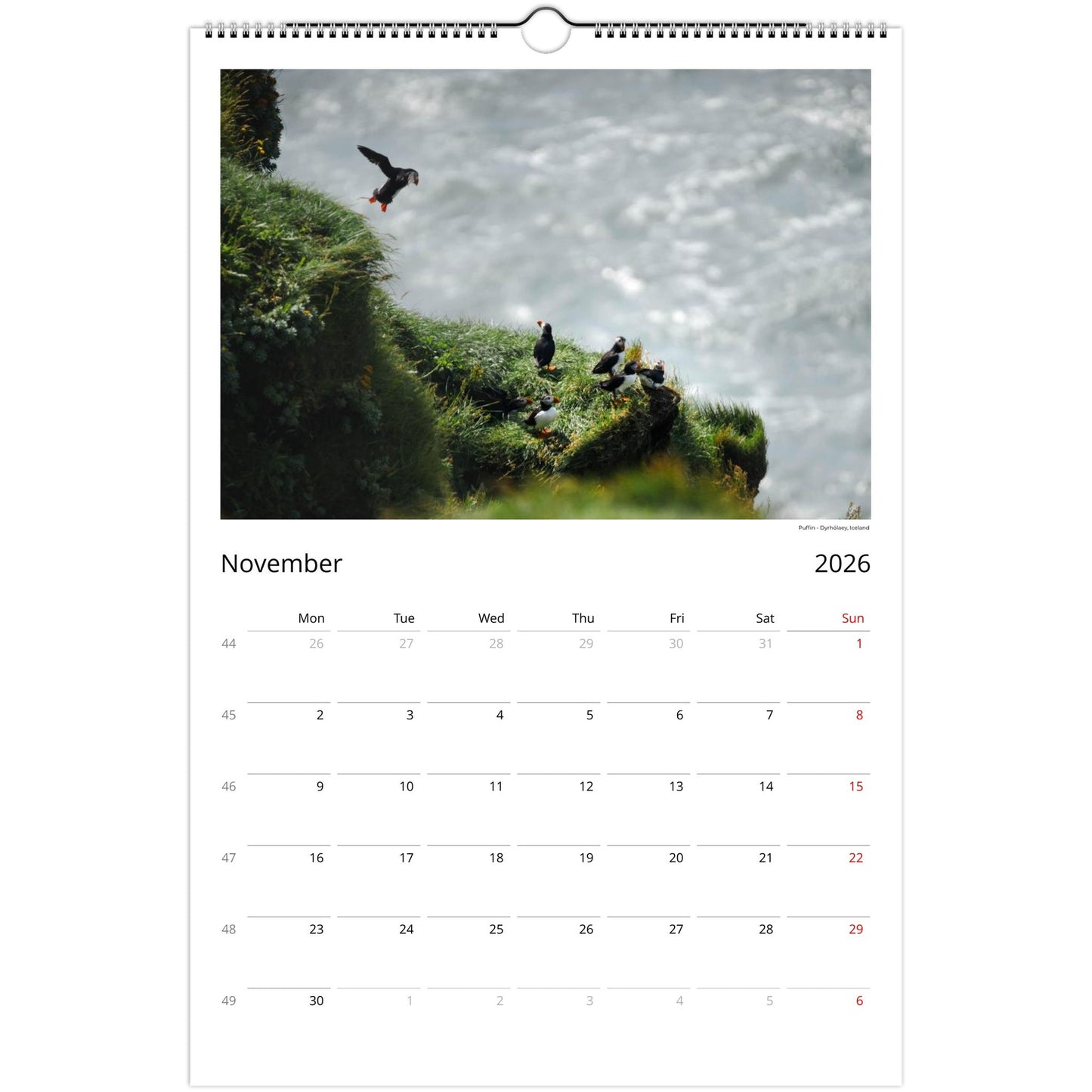 7bf3fa3e-0370-4030-a9d5-e29e2d78a21c