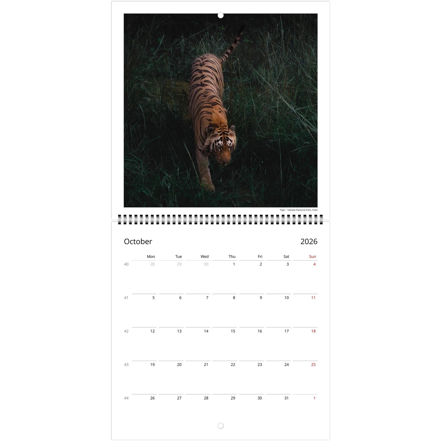 862b9893-31d0-4d4c-8a70-06ccfbebba5d