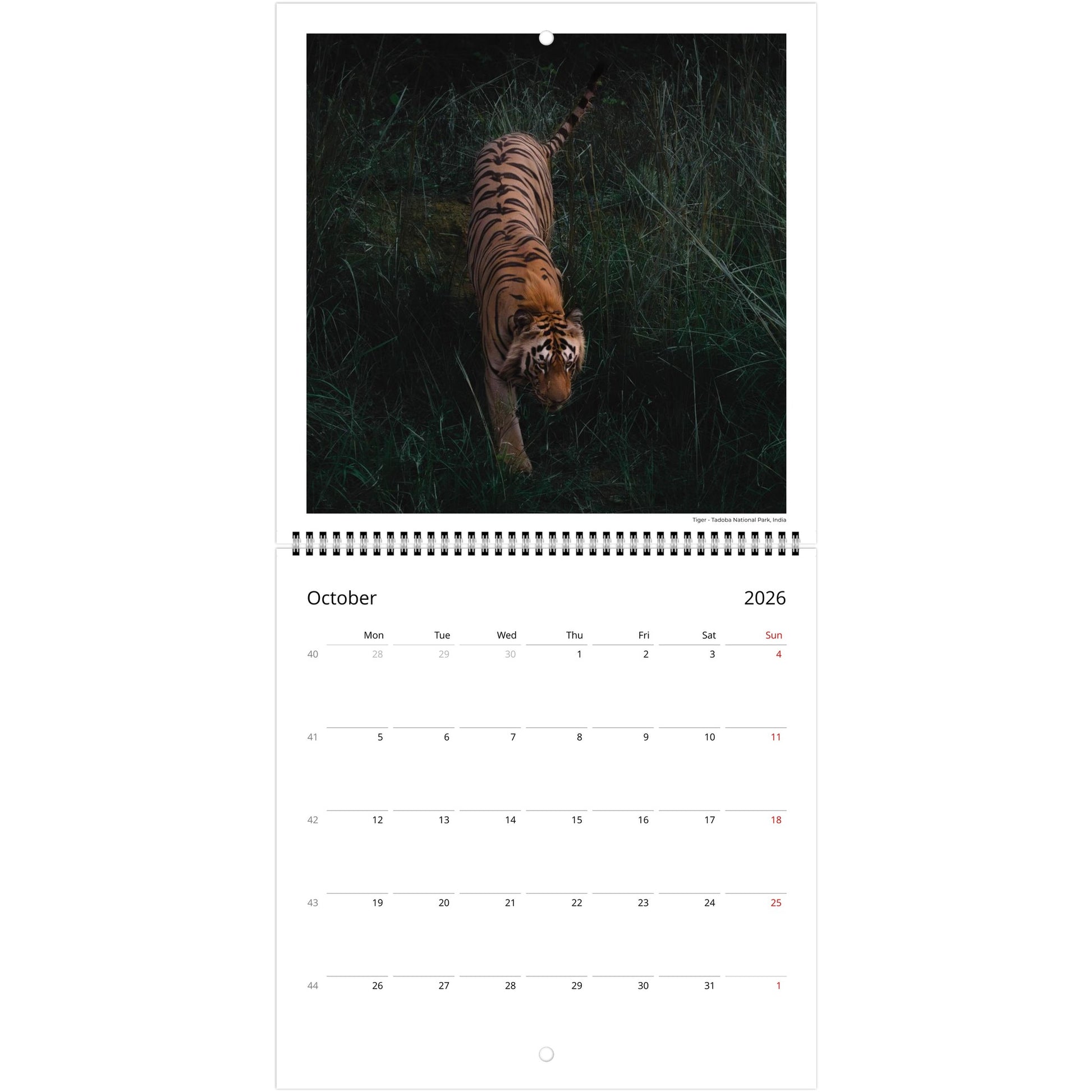 862b9893-31d0-4d4c-8a70-06ccfbebba5d