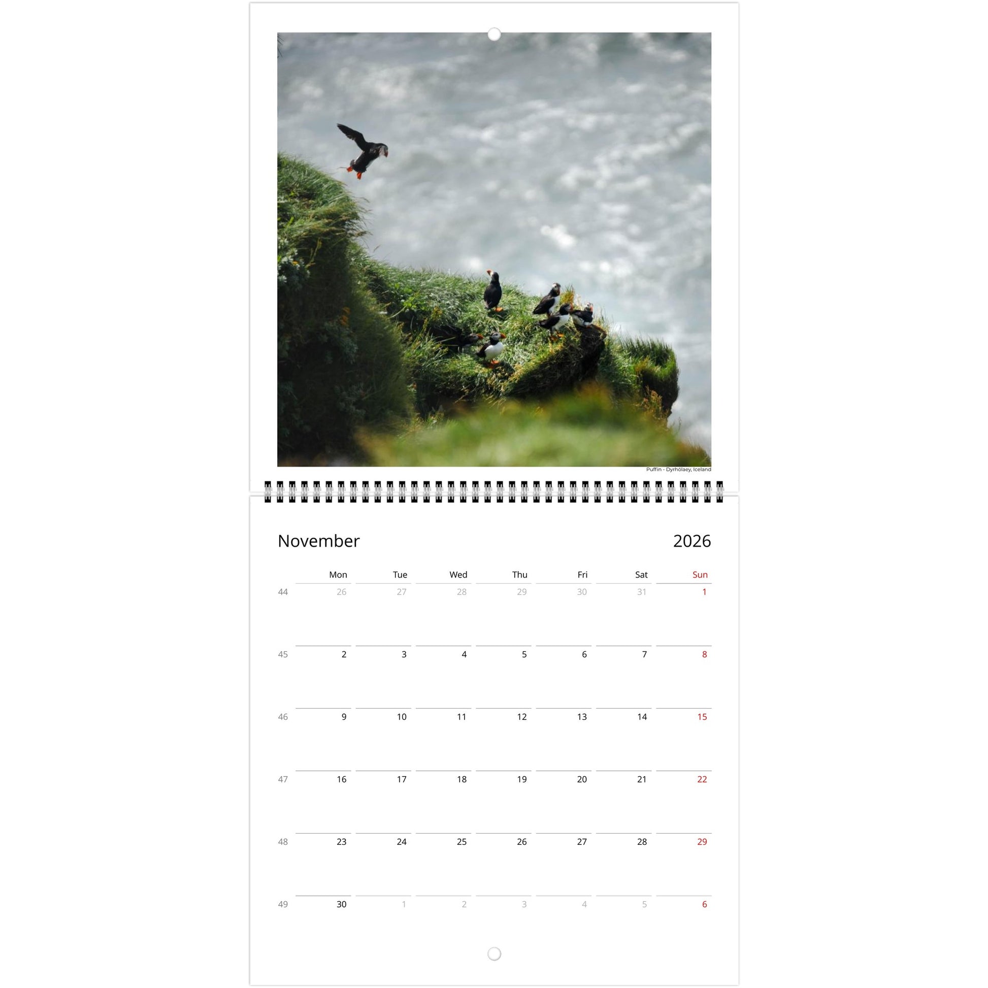 a23fdf72-7401-46c7-bc18-9d9d6bb35fdc