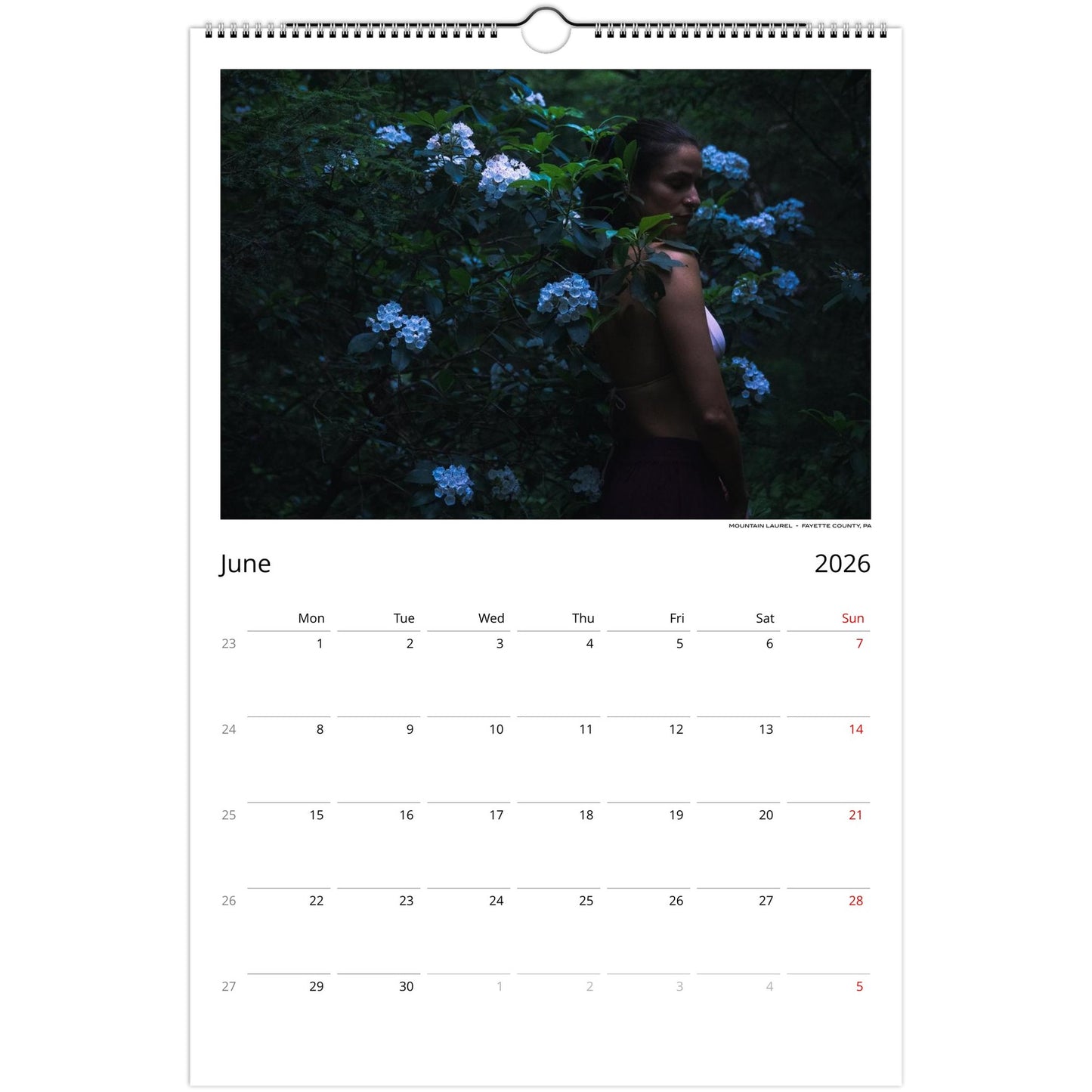 ab2142e2-2348-4f15-bf24-084719facf9b