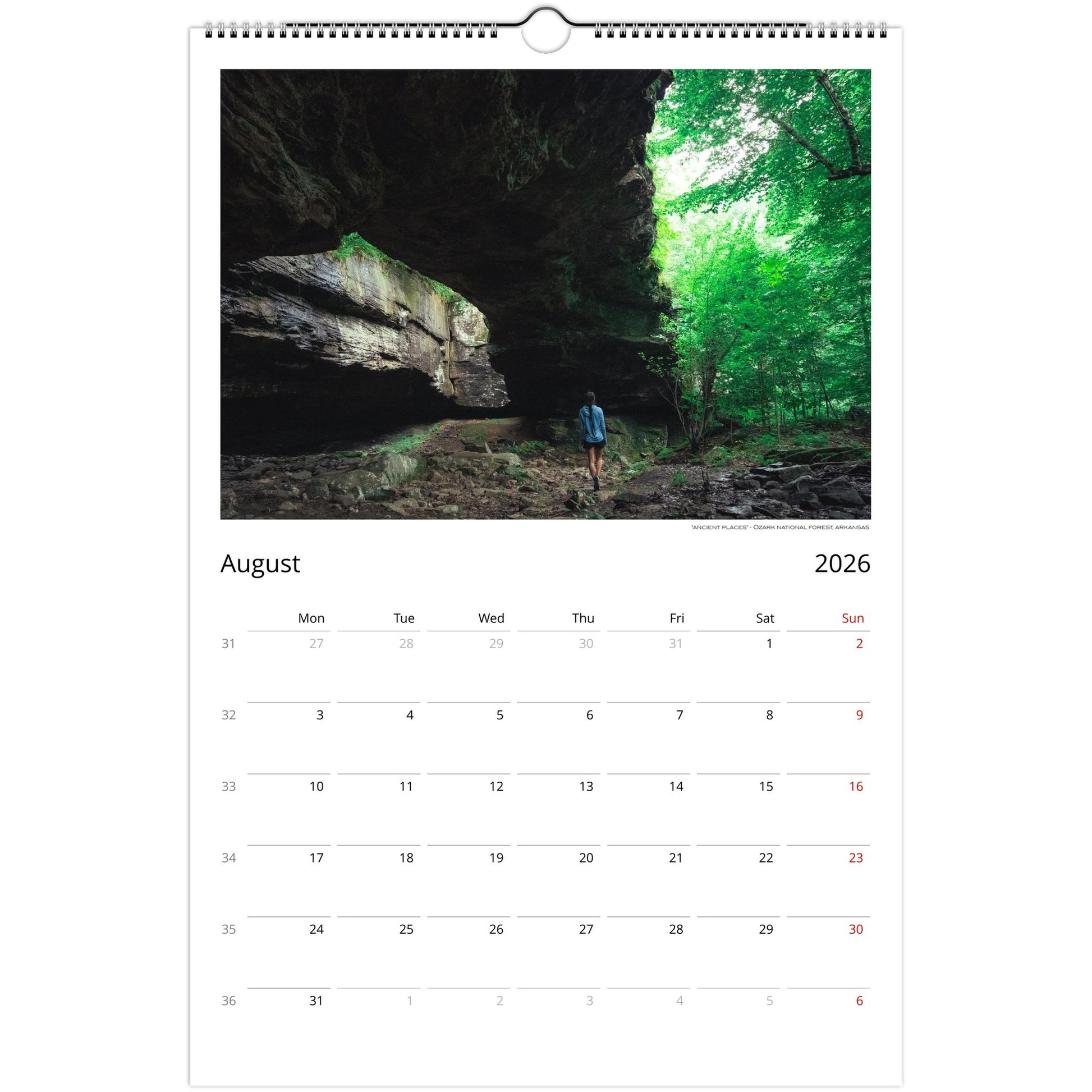 adaf90ea-f6d2-4575-98d4-669c9201ea36