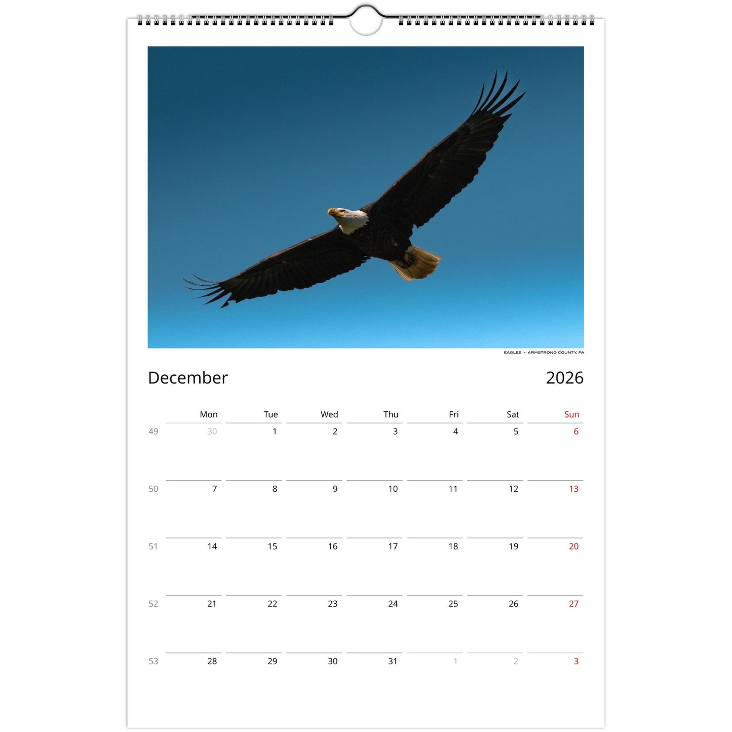 c301f27a-80e2-4d8d-b042-2bcb73b0810b