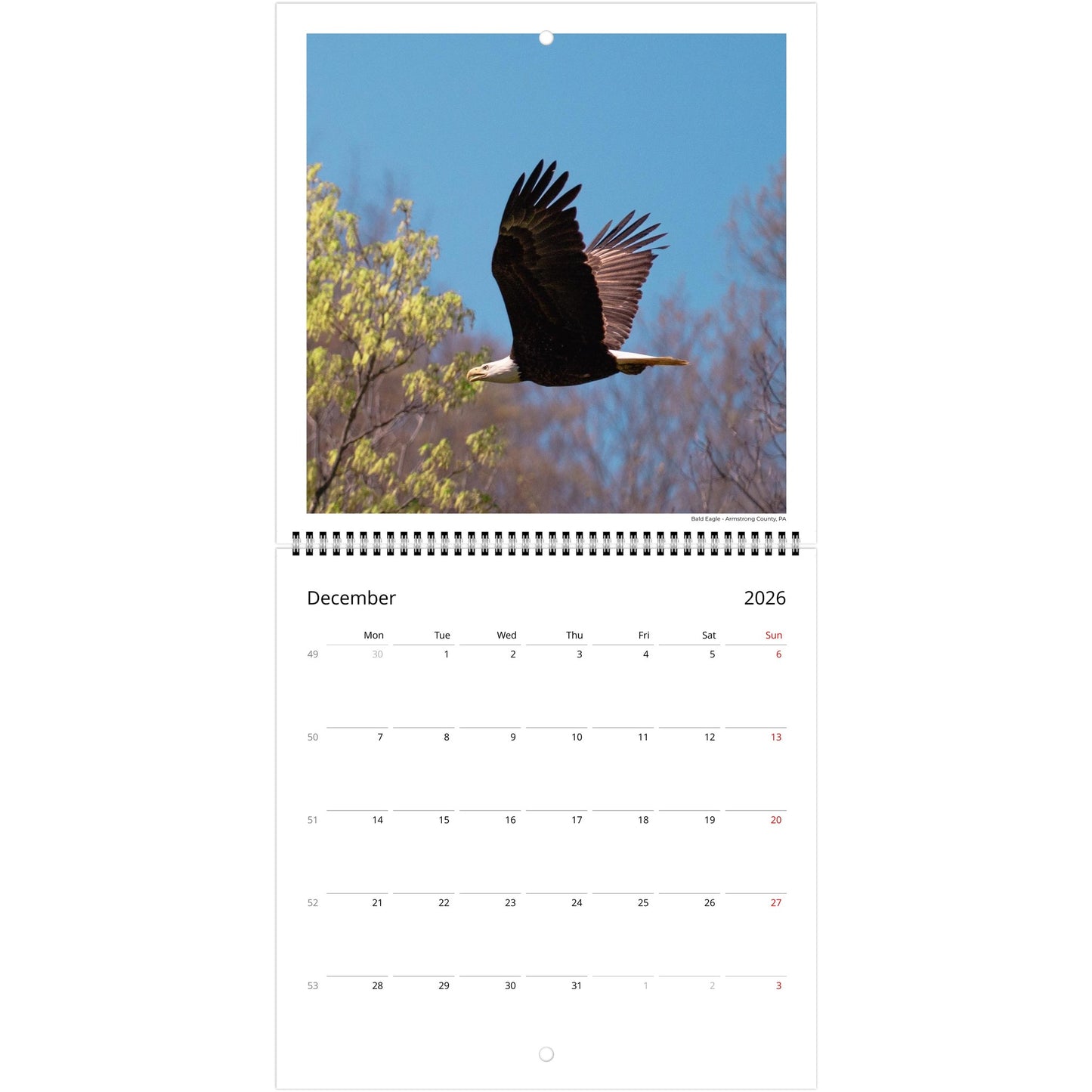 c701f023-7a30-4d88-9a3d-3ded9a52e98c