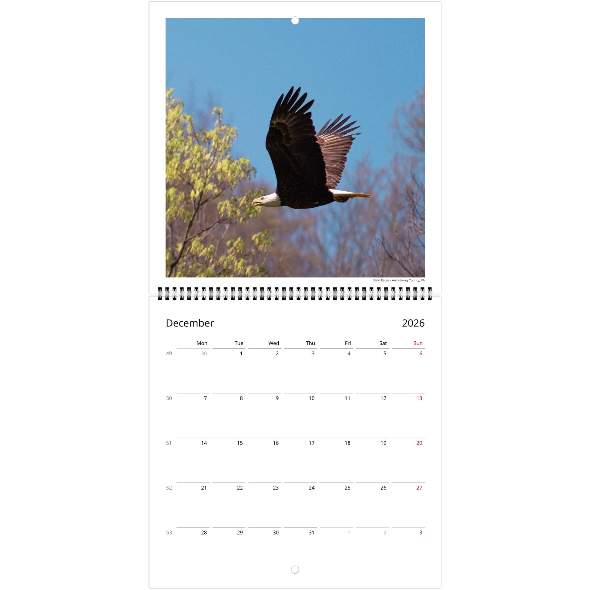 c701f023-7a30-4d88-9a3d-3ded9a52e98c