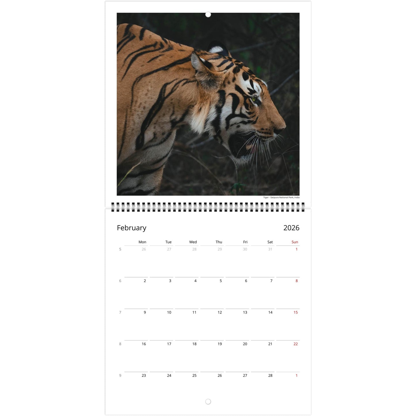 d3d8f666-f5d4-46b5-b306-1a60331399d3