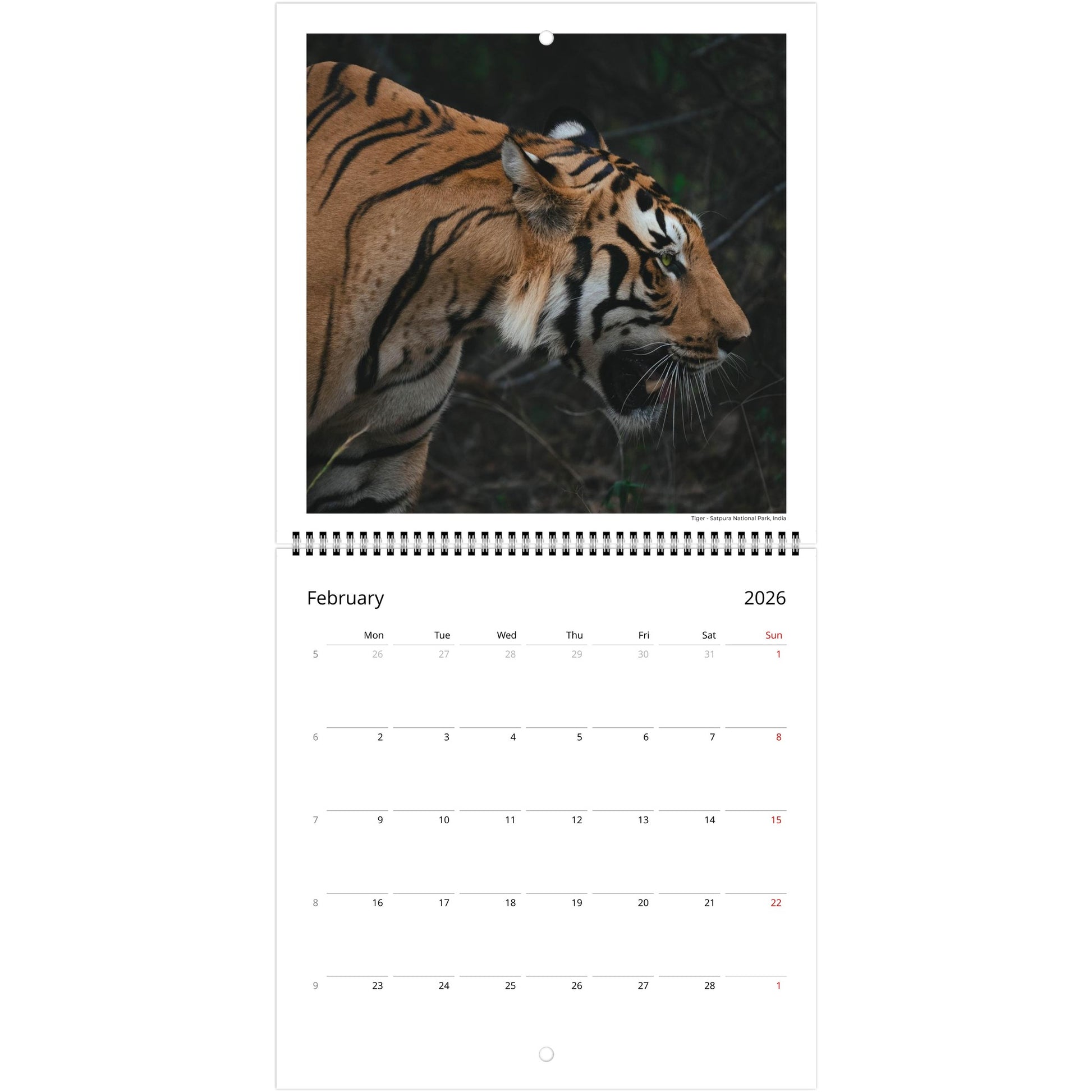 d3d8f666-f5d4-46b5-b306-1a60331399d3