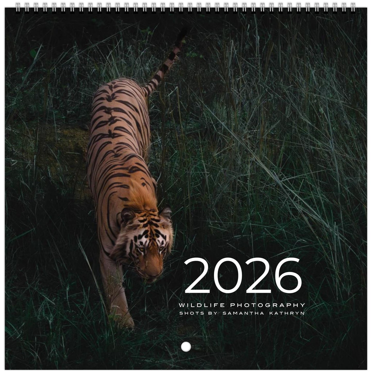 d9a28069-1ad1-4219-b69c-851351ce5f80