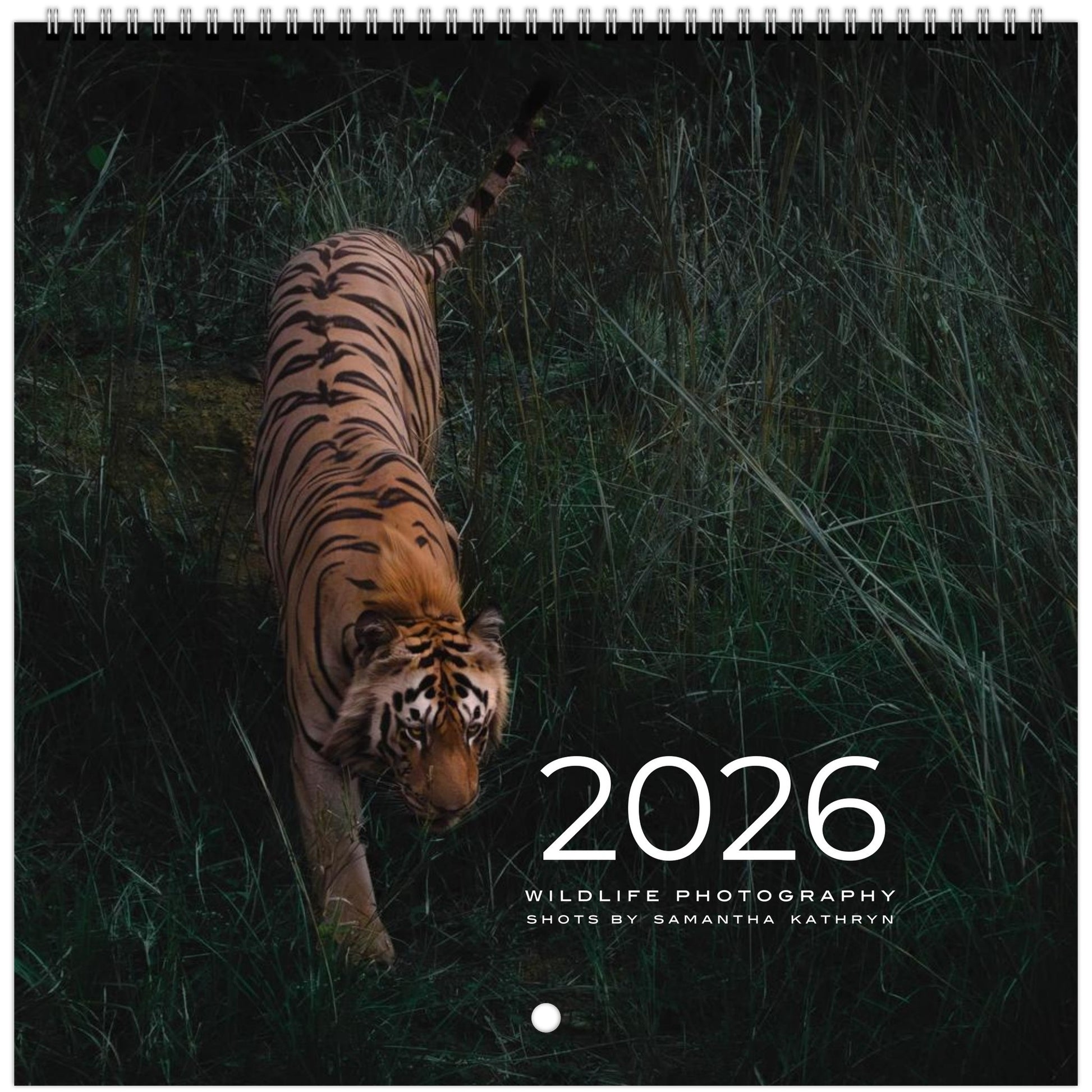 d9a28069-1ad1-4219-b69c-851351ce5f80