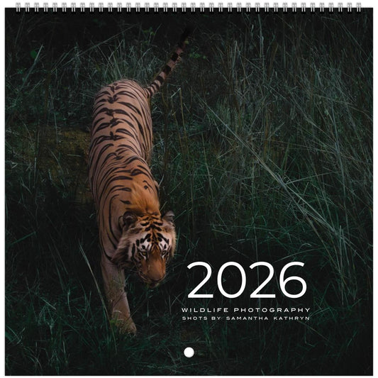 d9a28069-1ad1-4219-b69c-851351ce5f80