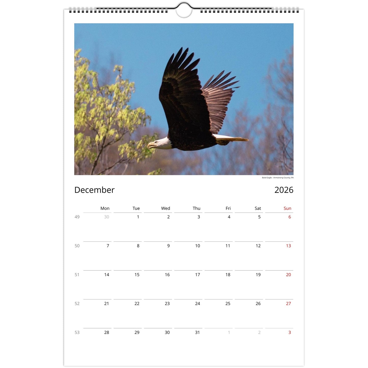 dd4de0a2-02c6-4277-b7d4-df98698ae142